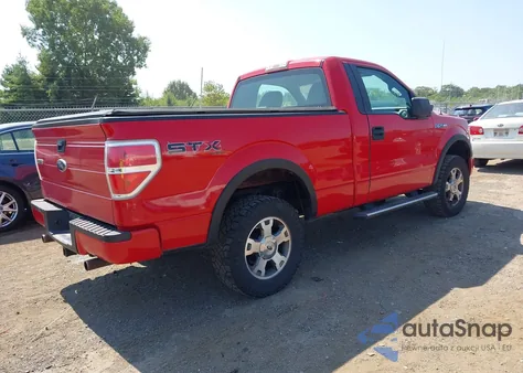 2009 Ford F-150 Stx/Xl/Xlt z USA, uszkodzony, nr VIN 1FTRF14849KB05735